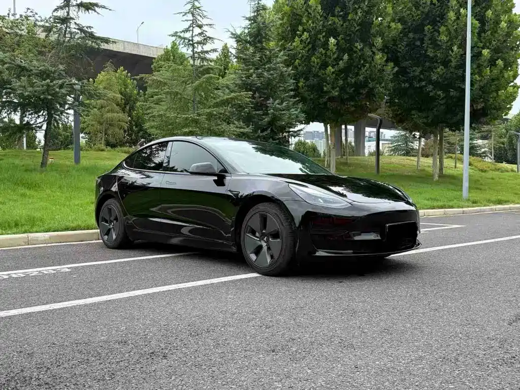 Tesla Model 3 — миниатюра 3