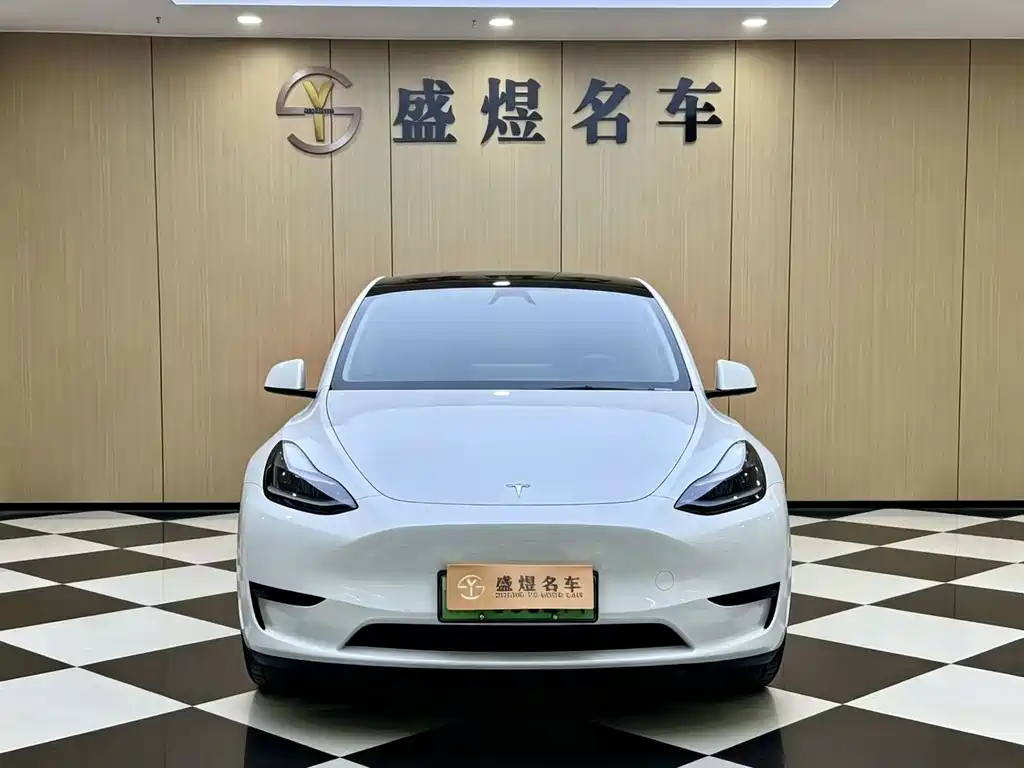 Tesla Model Y — миниатюра 3