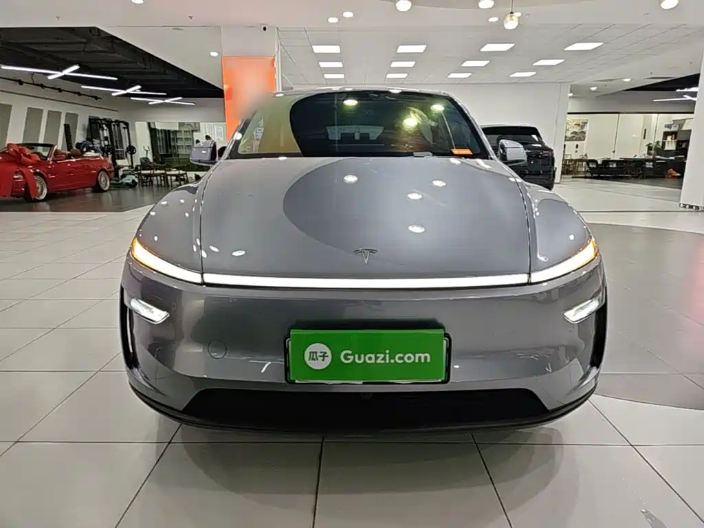 Tesla Model Y — миниатюра 3