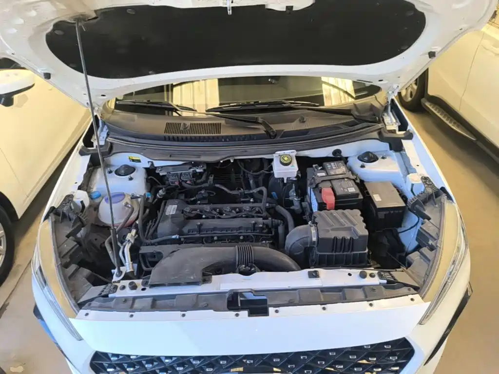 Chery Tiggo 3x — миниатюра 20
