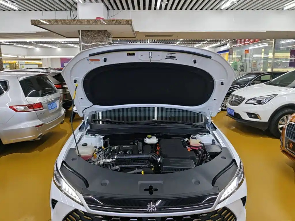 BYD Qin PLUS — миниатюра 20