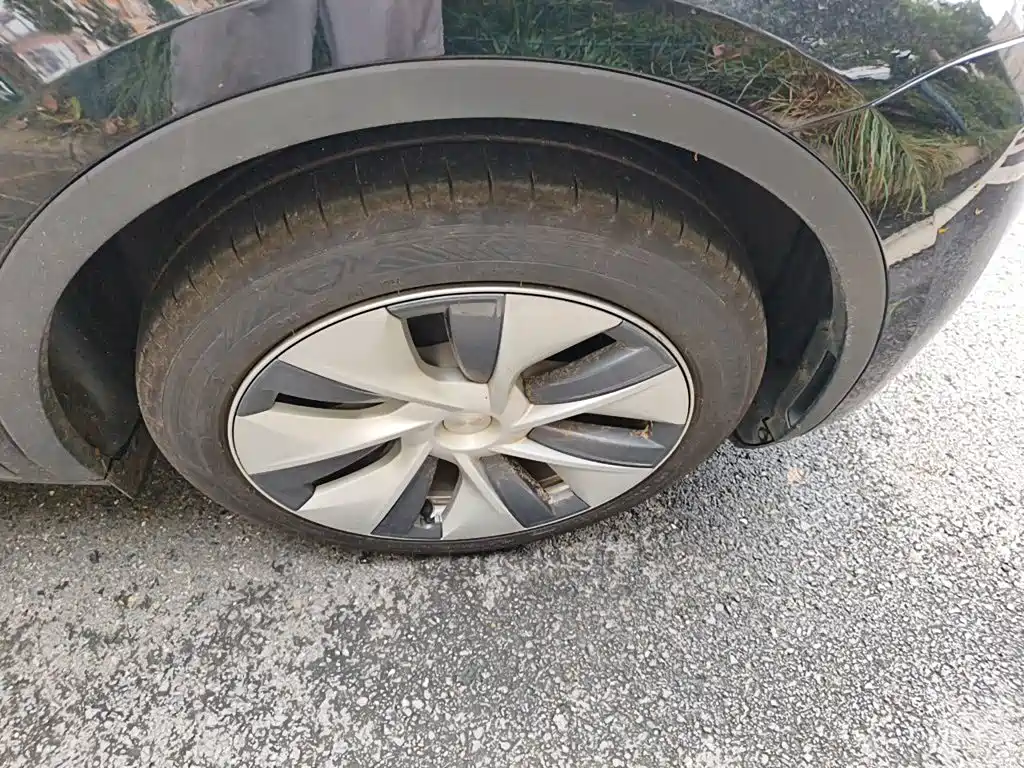 Tesla Model Y — миниатюра 8