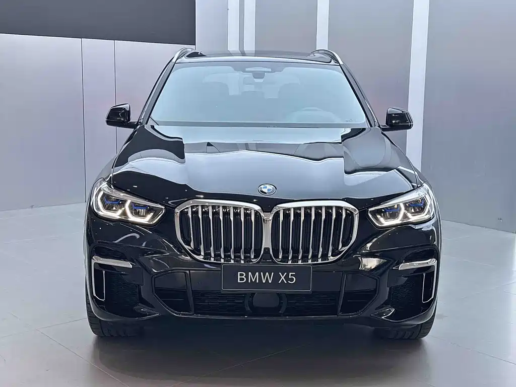 BMW X5 — миниатюра 2