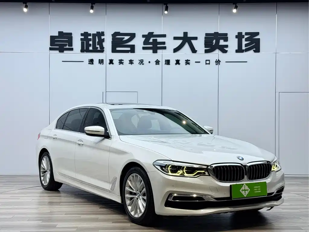 BMW 5 Series New Energy 2020