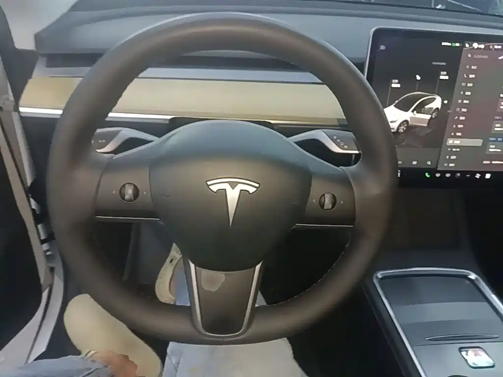 Tesla Model Y — миниатюра 11