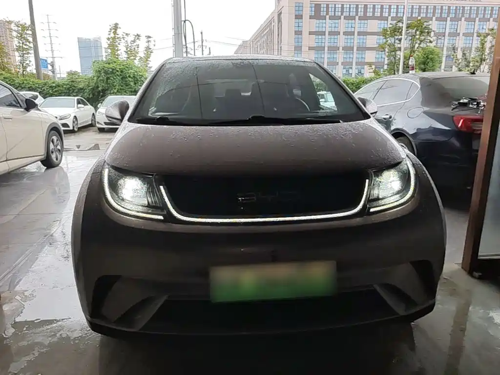 BYD Dolphin — миниатюра 3
