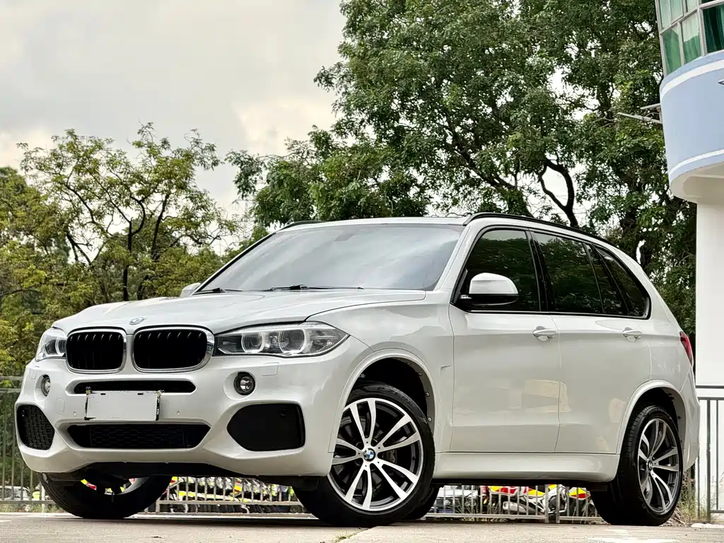 BMW X5 (Import) 2017