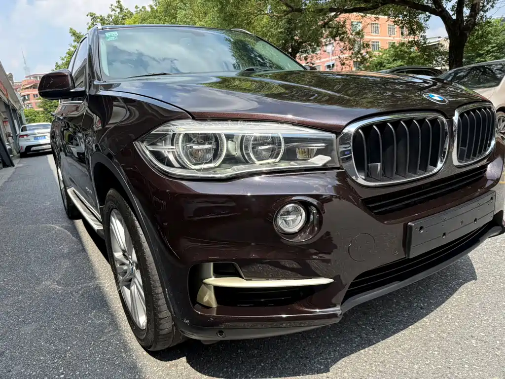 BMW X5 (Import) — миниатюра 20