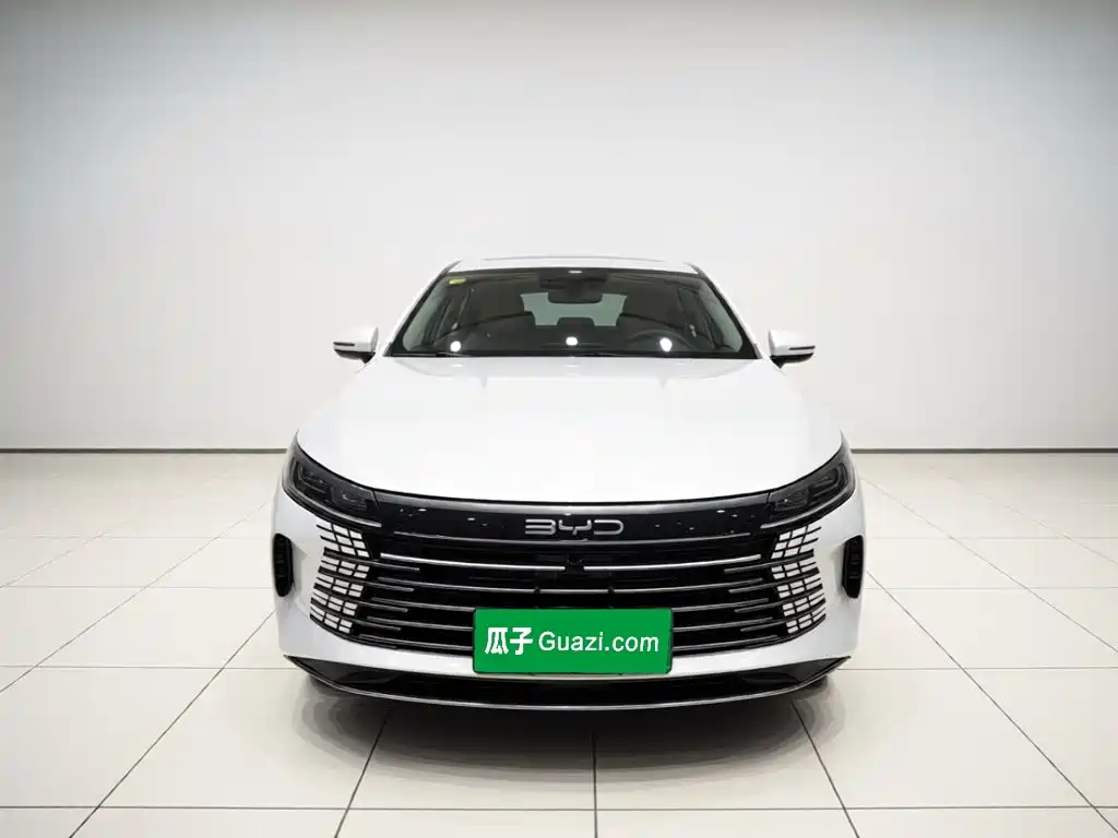 BYD Destroyer 05 — миниатюра 2