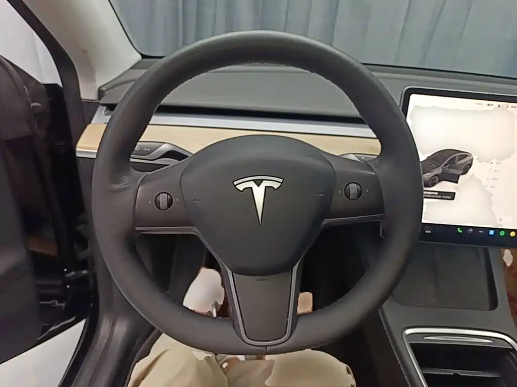 Tesla Model Y — миниатюра 11