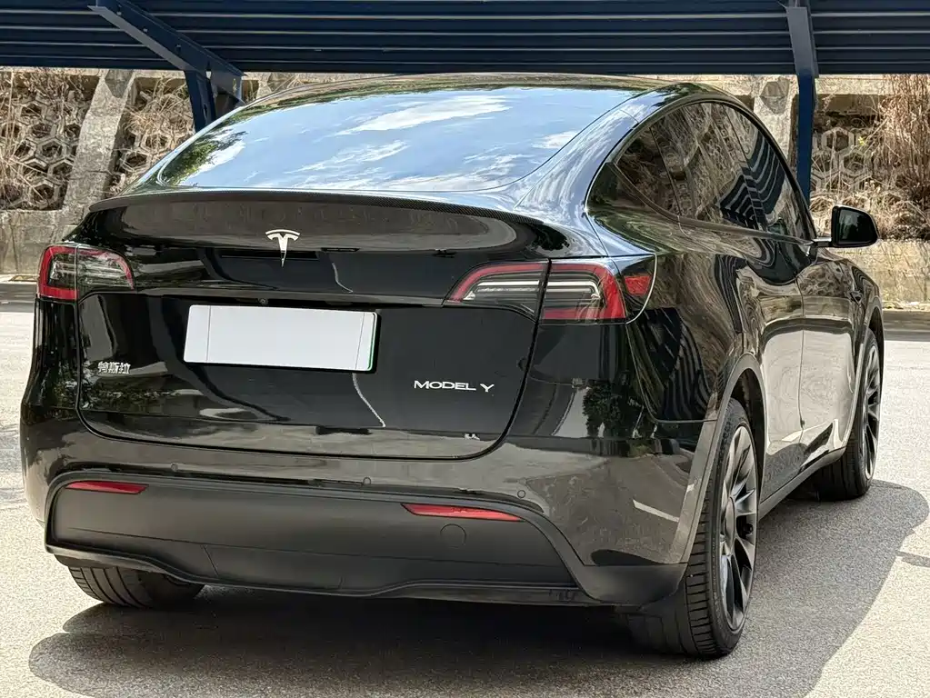 Tesla Model Y — миниатюра 9