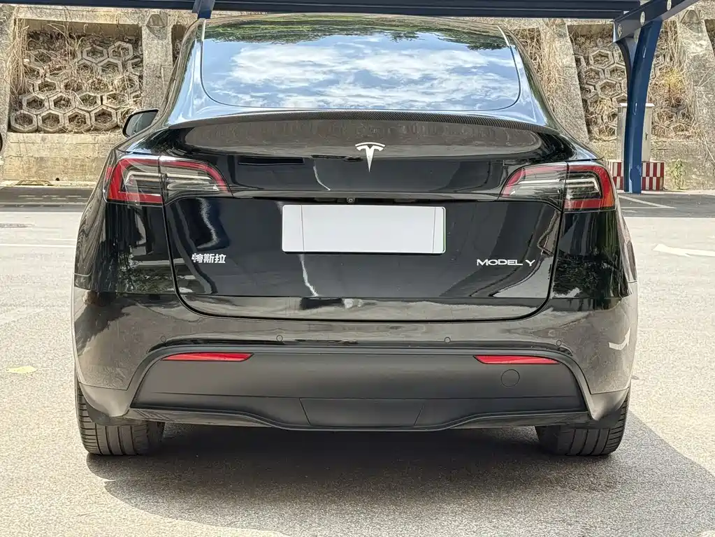 Tesla Model Y — миниатюра 10