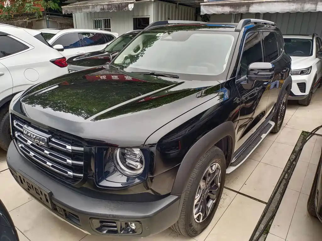 Haval Big Dog