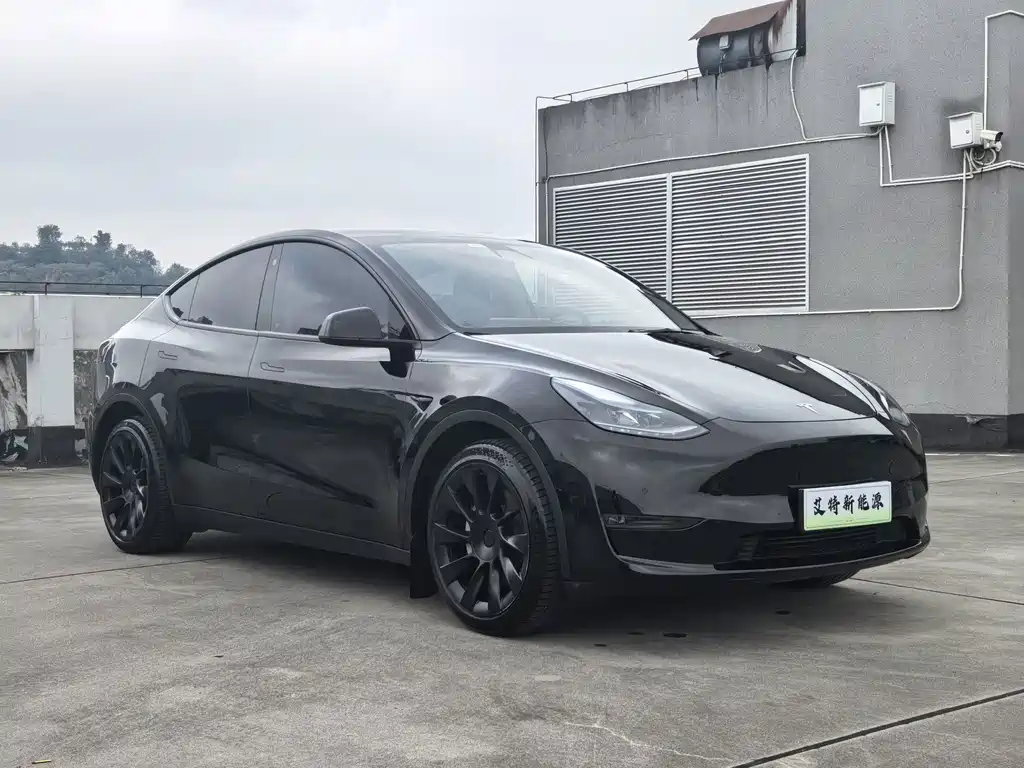 Tesla Model Y — миниатюра 3