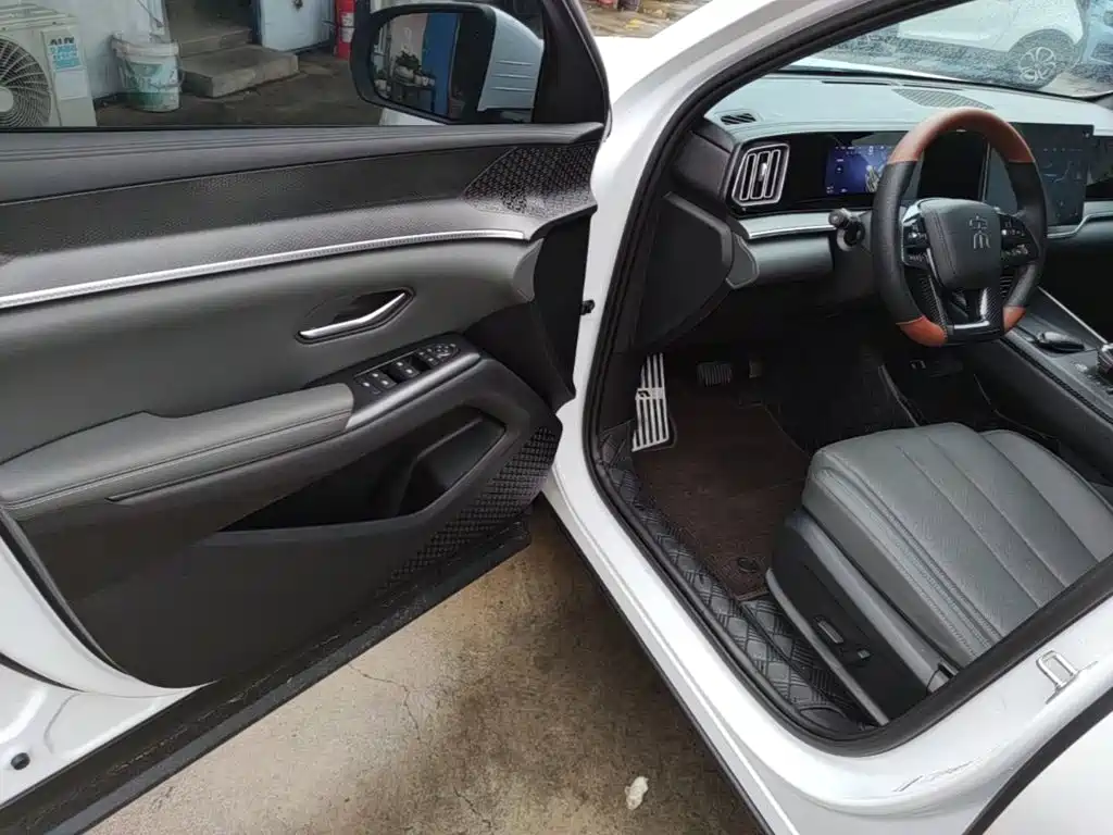 BYD Pro New Energy — миниатюра 16