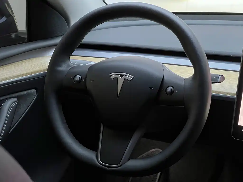 Tesla Model Y — миниатюра 7