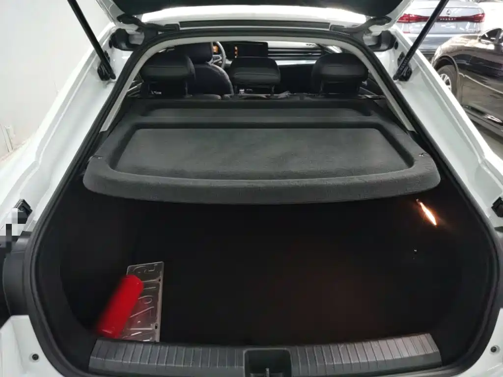 Volkswagen Lamando — миниатюра 15