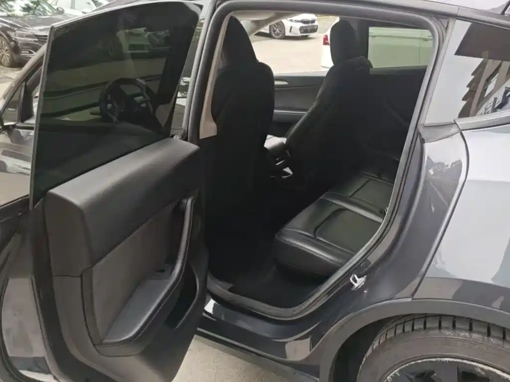Tesla Model Y — миниатюра 6