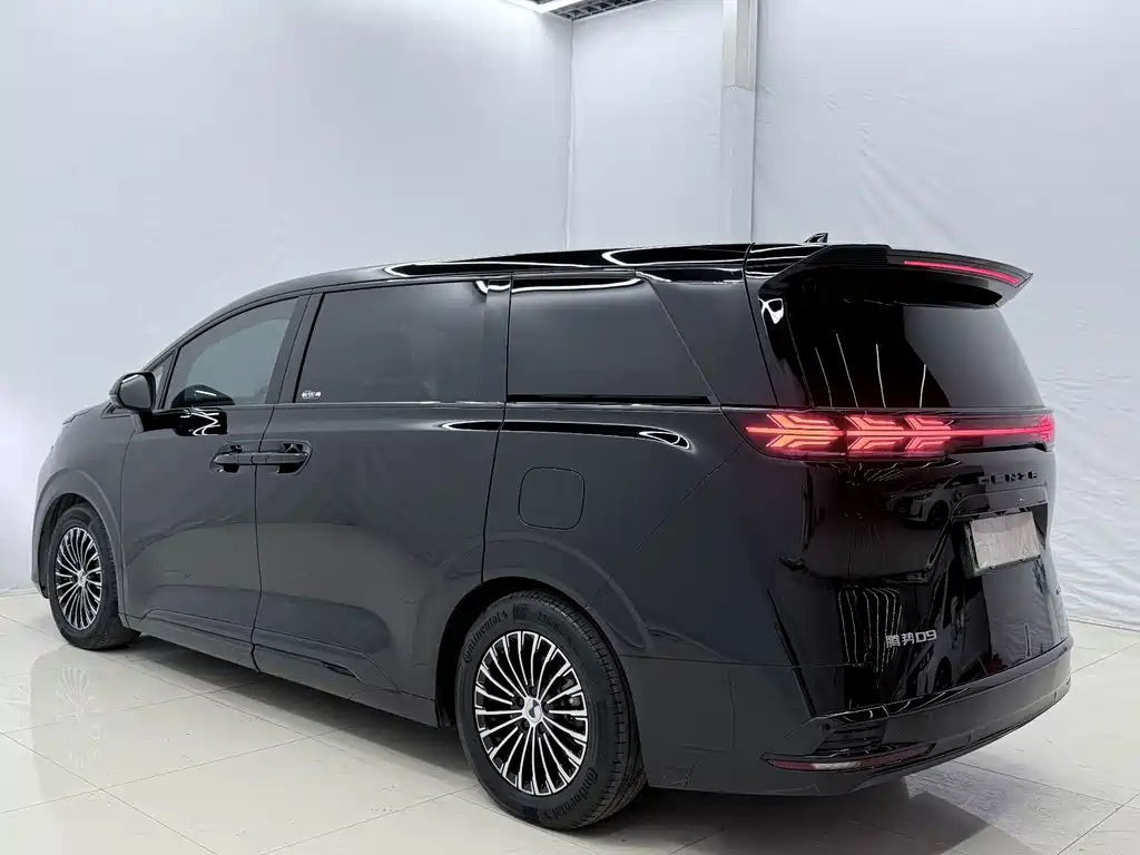 Denza Denza D9 — миниатюра 16
