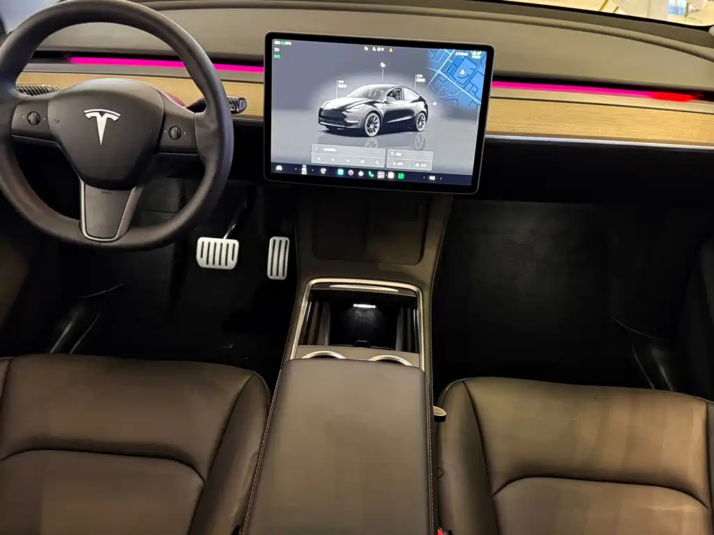 Tesla Model Y — миниатюра 13