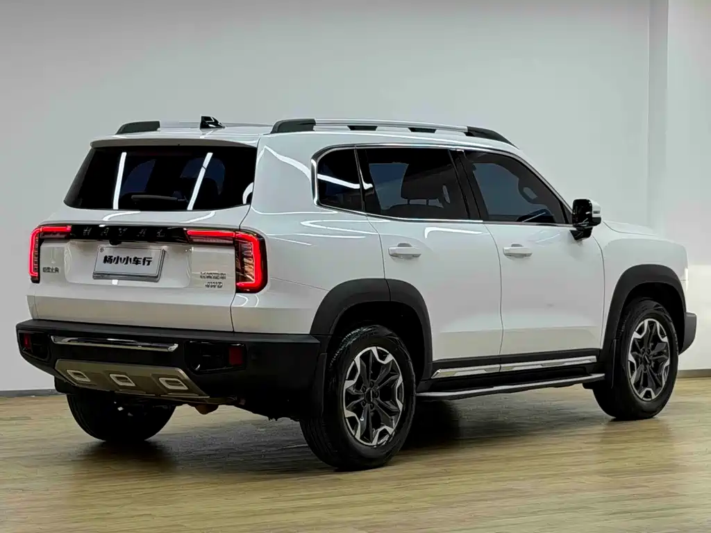 Haval Big Dog — миниатюра 27