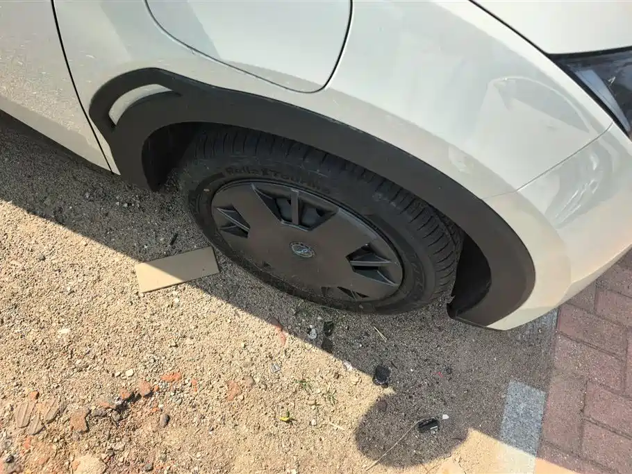 BYD Seagull 2025 305km