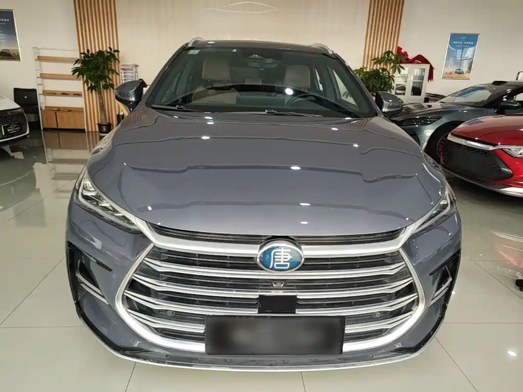 BYD Tang New Energy — миниатюра 3