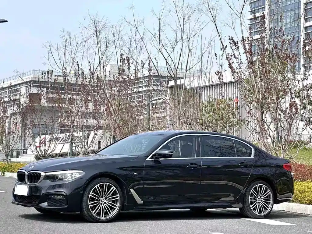 Купить BMW 5 Series
