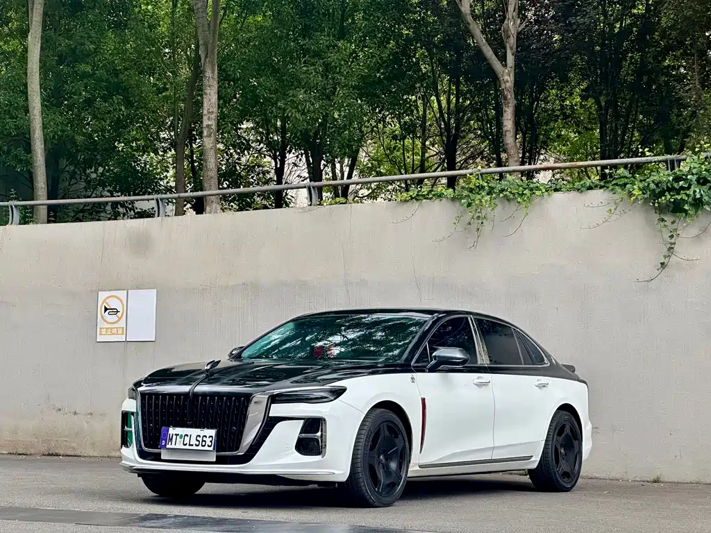 Hongqi Hongqi H5 2024