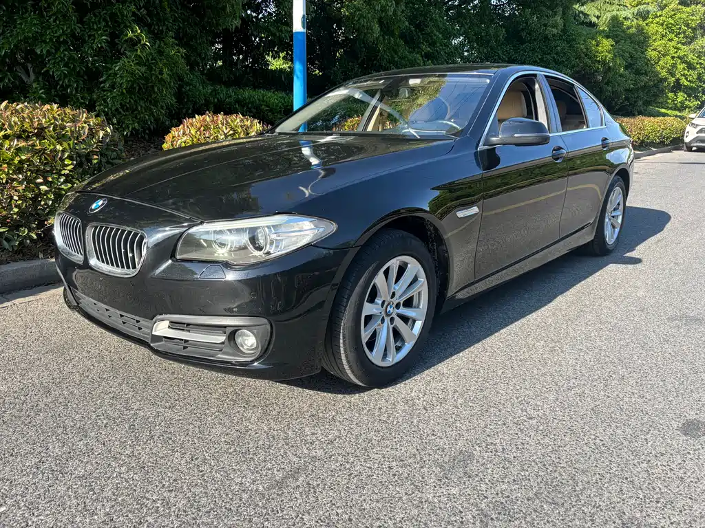 BMW 5 Series (Import) 2017