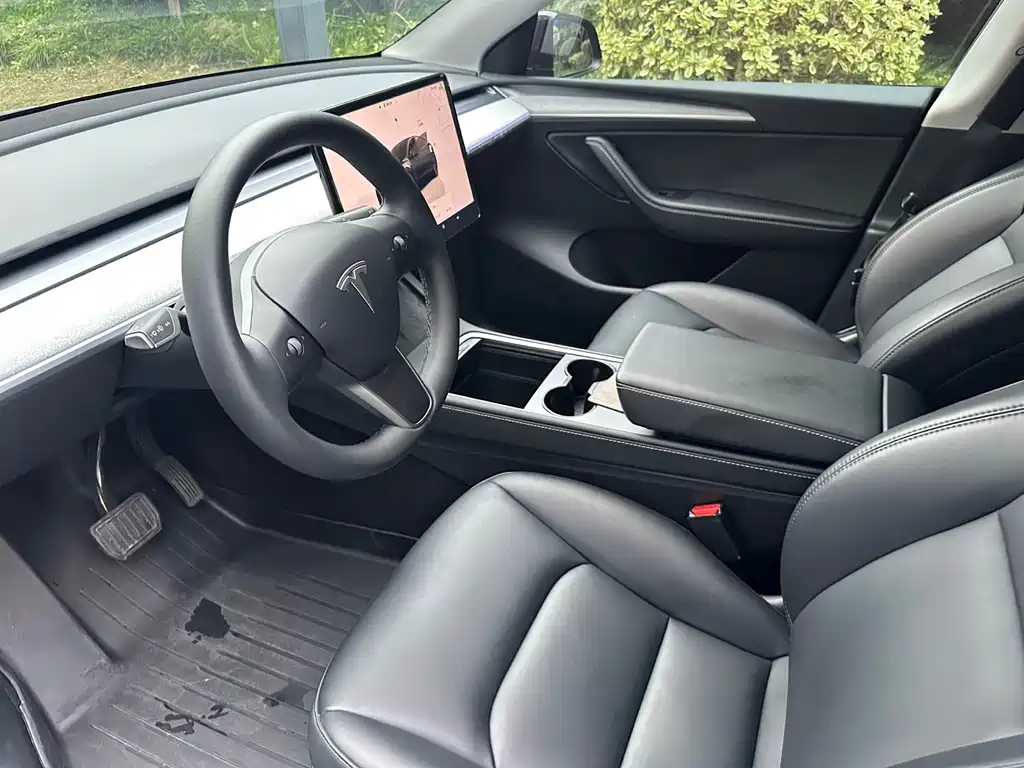 Tesla Model Y — миниатюра 10