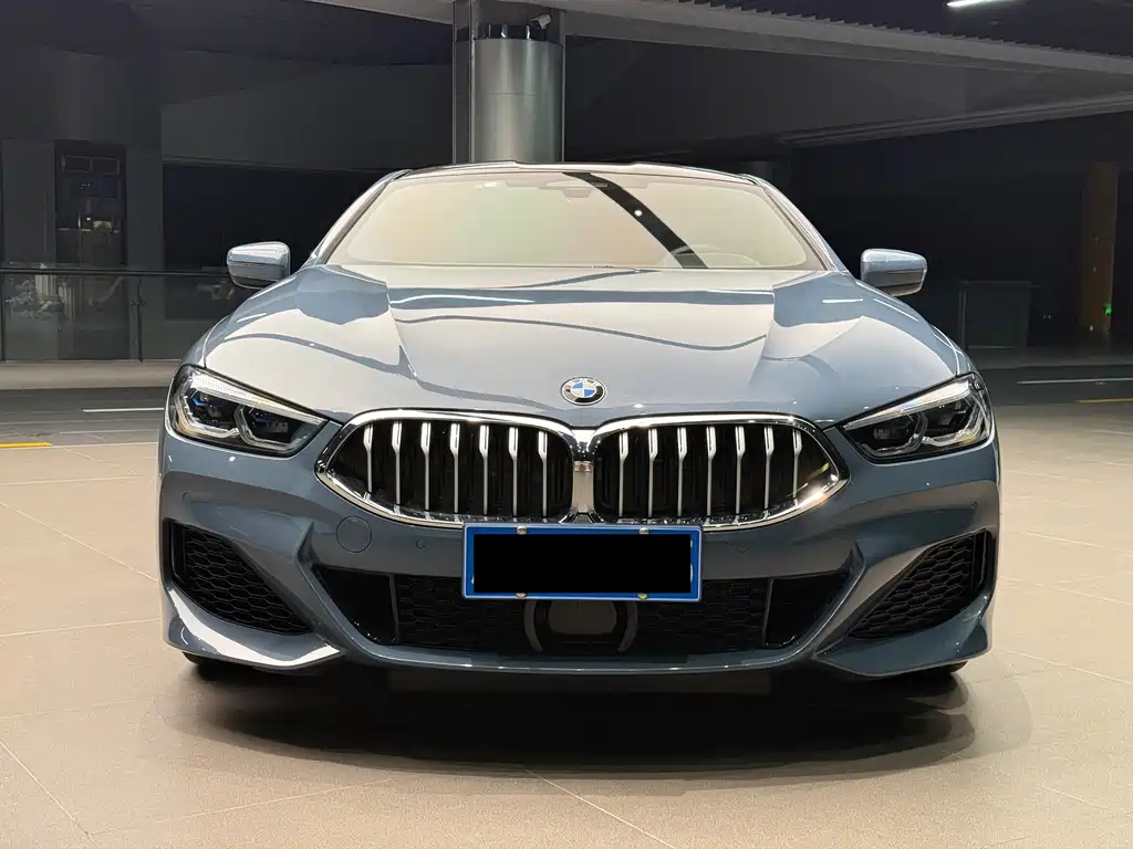 BMW 8 Series — миниатюра 2