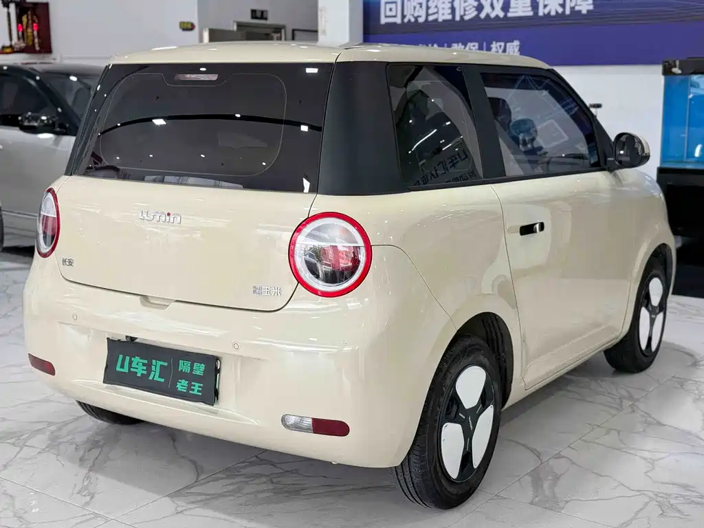 Qiyuan Lumin — миниатюра 7