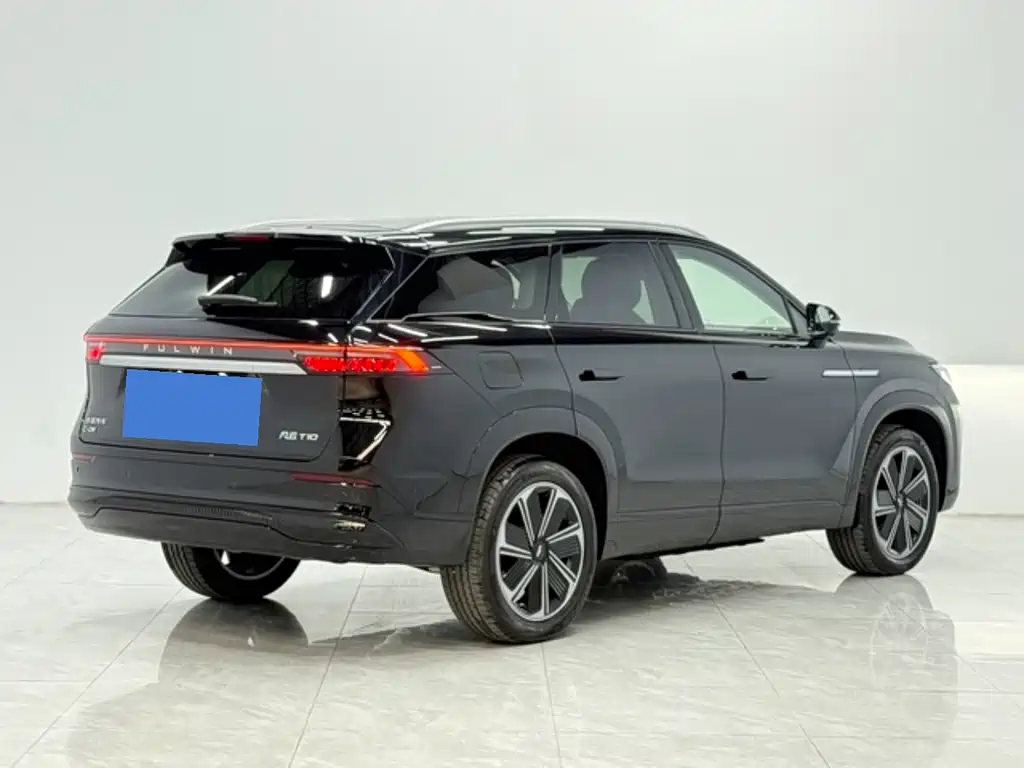 Fulwin Fengyun T10 — миниатюра 5