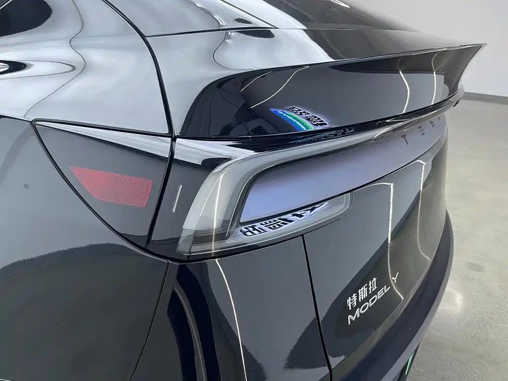Tesla Model Y — миниатюра 31