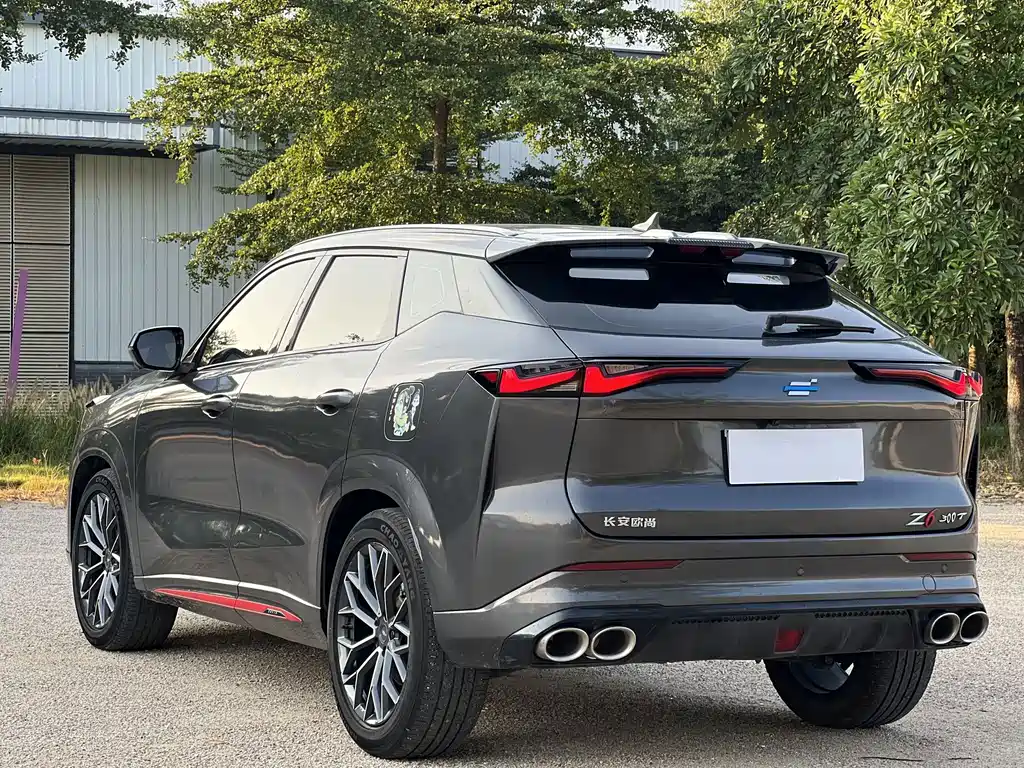 Oshan Oushang Z6 — миниатюра 15
