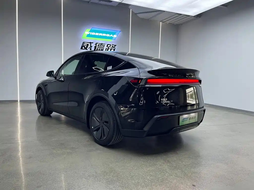 Tesla Model Y — миниатюра 2