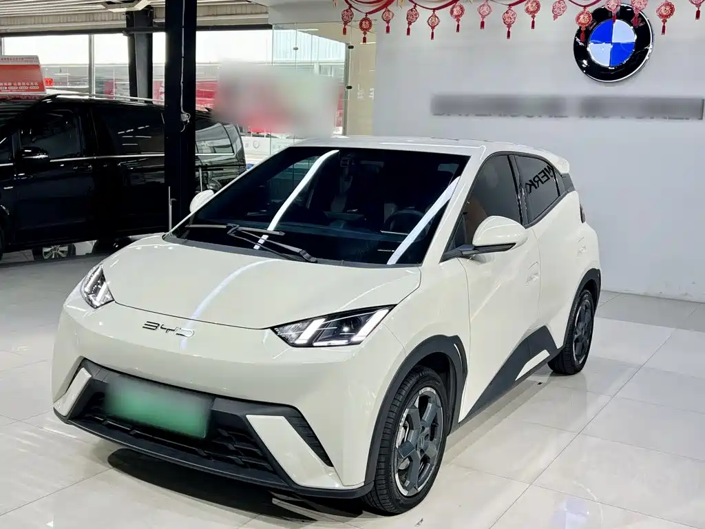BYD Seagull