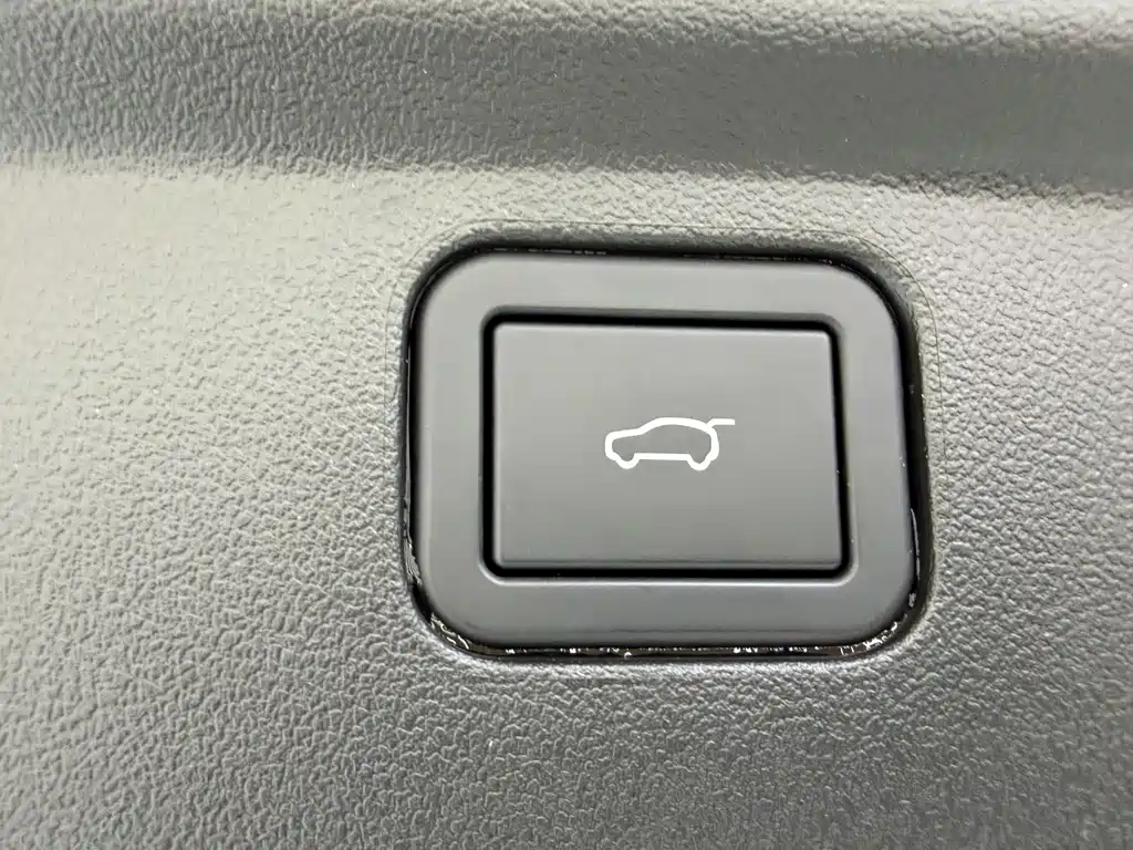 Haval Big Dog PLUS — миниатюра 11