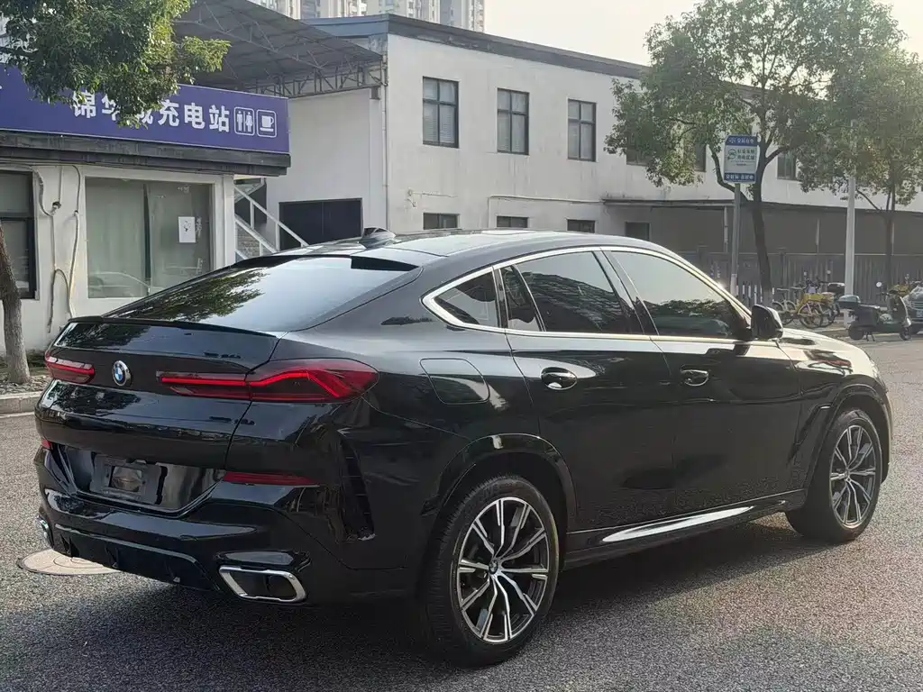 BMW X6 — миниатюра 11