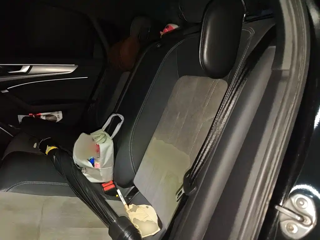Audi A6L New Energy — миниатюра 15