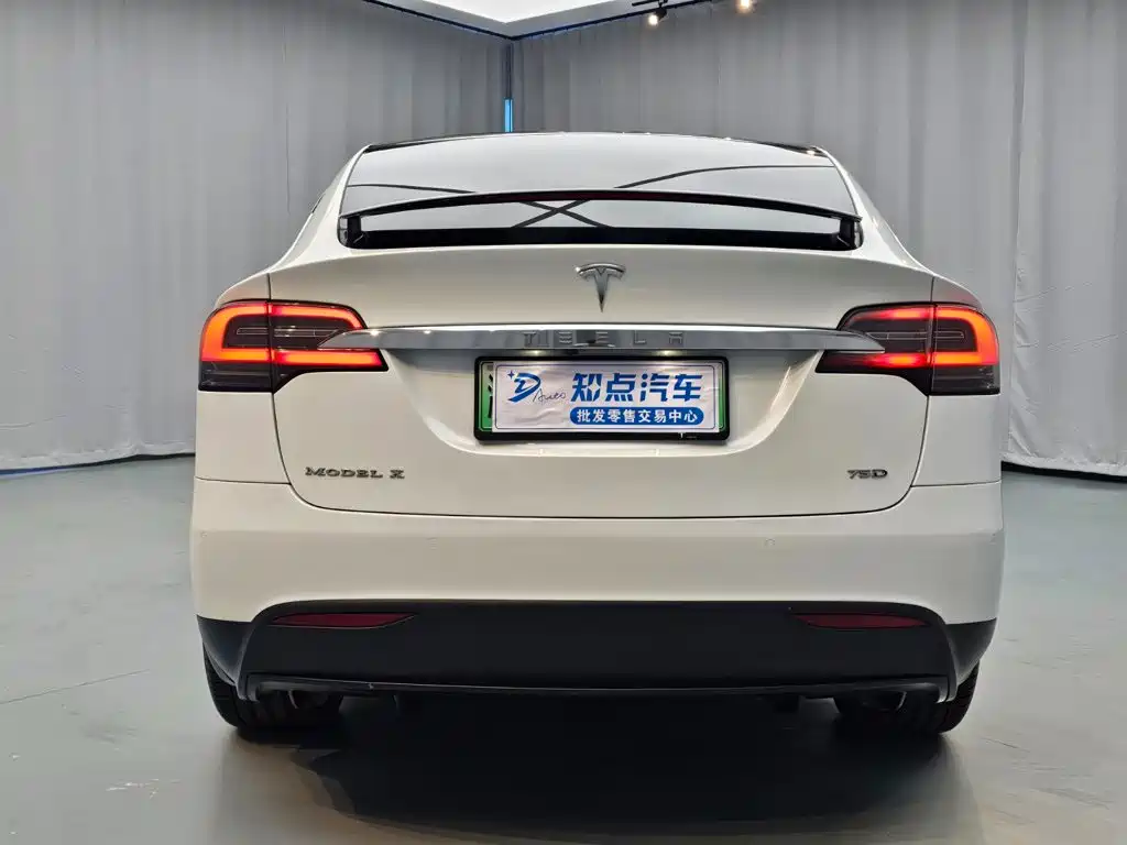 Tesla Model X — миниатюра 5