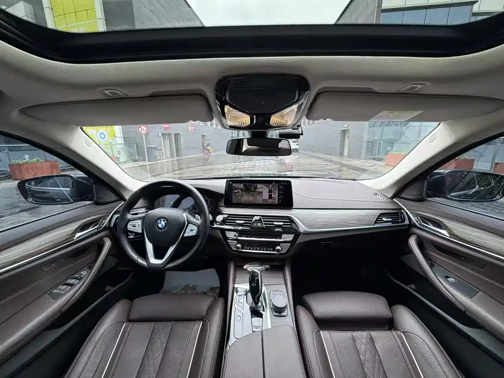 BMW 5 Series 5 2021 530Li Premium Luxury