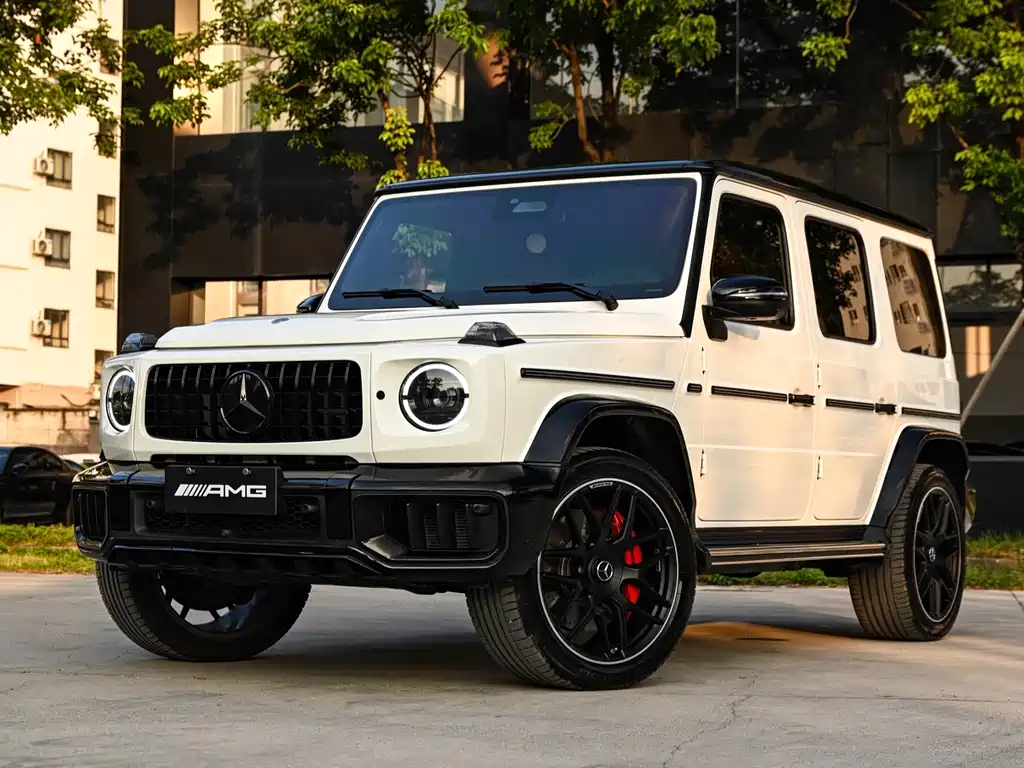 Mercedes-Benz G-Class — миниатюра 19