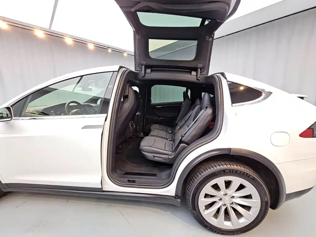 Tesla Model X — миниатюра 11