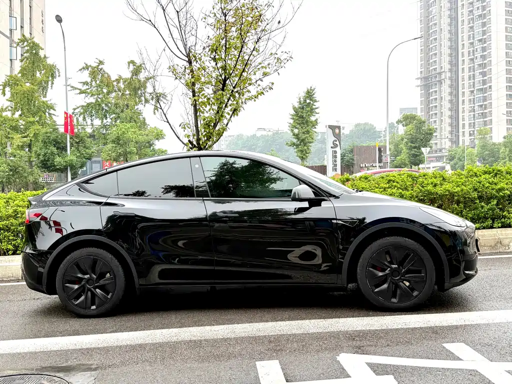 Tesla Model Y — миниатюра 9
