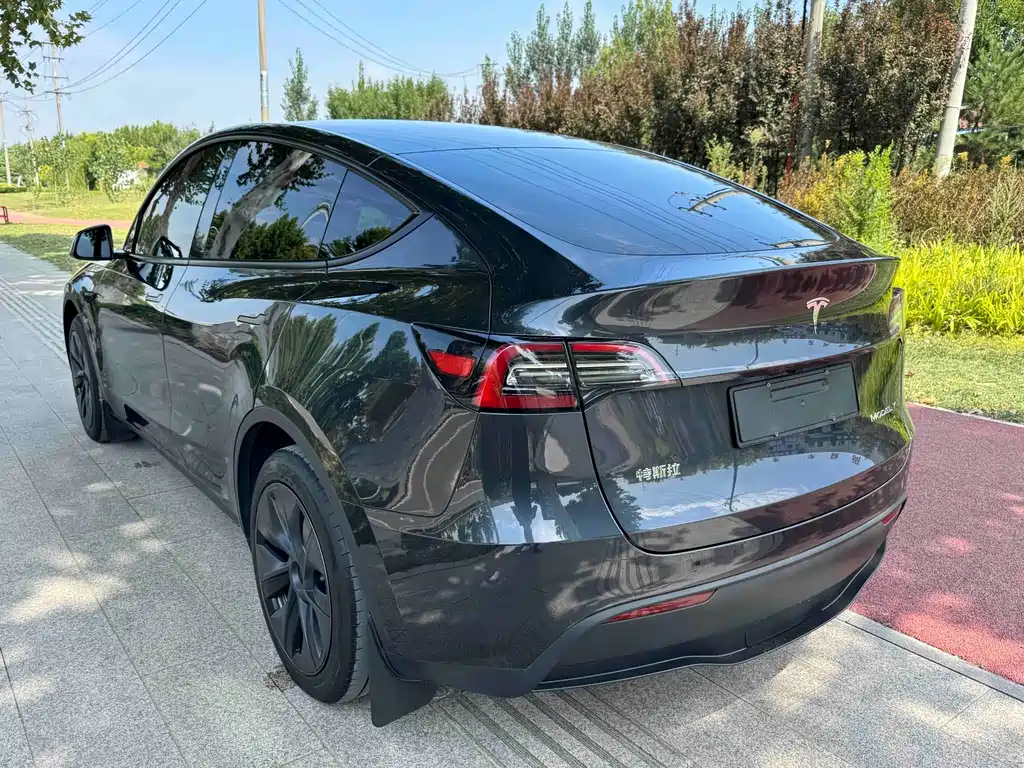 Tesla Model Y — миниатюра 6