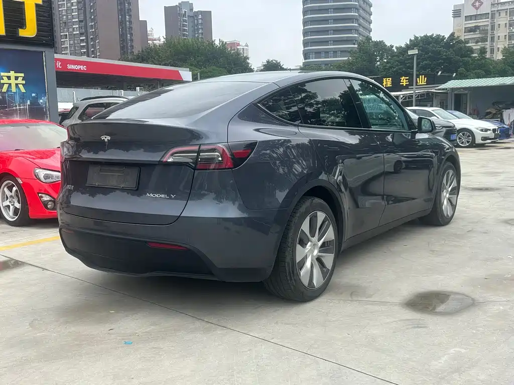 Tesla Model Y — миниатюра 8