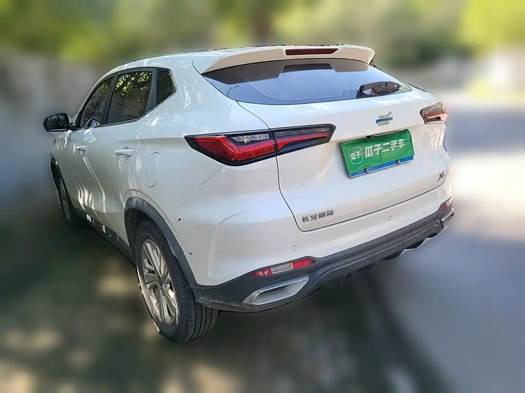 Oshan Oushang X5 — миниатюра 25