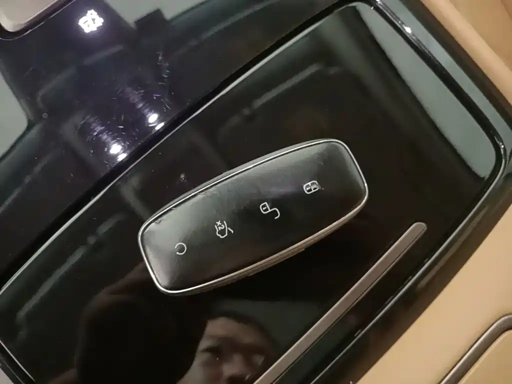 Denza Denza D9 — миниатюра 9